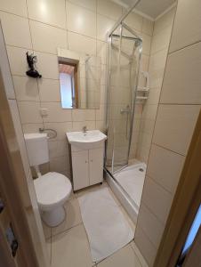 Kúpeľňa v ubytovaní Widok apartamenty,domki,pokoje