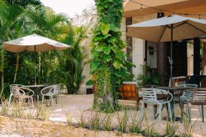 Zahrada ubytování Aldea Coba An Escape Boutique Experience