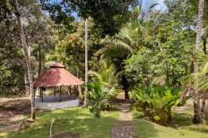 a gazebo in a garden with palm trees at Hostal Casa del Rio in Guachaca