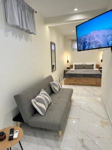 TV a/nebo společenská místnost v ubytování The Lux Den of Zante
