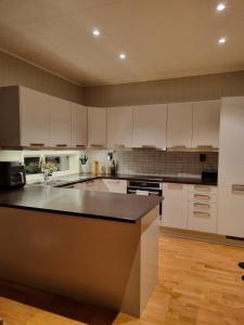 Kuchyň nebo kuchyňský kout v ubytování Modern house in chain with lovely views!