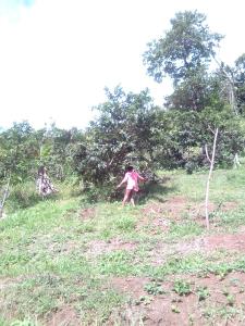 a young girl walking in a grassy field at PT Jardin Farm in Castle Bruce