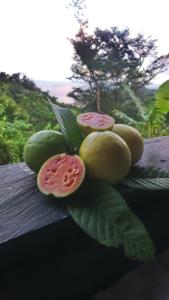 a bunch of fruit sitting on top of a table at PT Jardin Farm in Castle Bruce