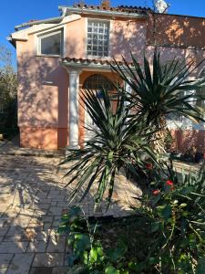 Gambar di galeri bagi Vila Andelija di Pavicini