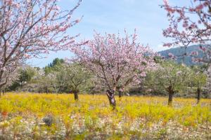Un paisaje natural cerca de la villa