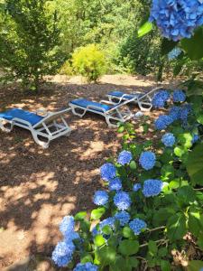 two lounge chairs and blue flowers in a yard at CHALÉ, Pedra, Isolada, Natureza, Rio - Ecoturismo in Soutinho +18 photos