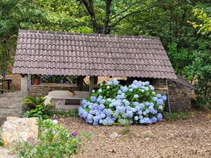 a small house with blue flowers and a bench at CHALÉ, Pedra, Isolada, Natureza, Rio - Ecoturismo in Soutinho