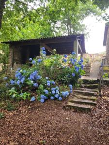 a garden with blue flowers in front of a cabin at CHALÉ, Pedra, Isolada, Natureza, Rio - Ecoturismo in Soutinho