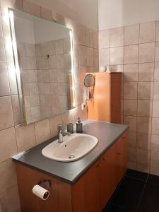 une salle de bain avec un lavabo, un miroir et un réfrigérateur dans l'établissement Sandavad, à Reykjavik 7 autres photos