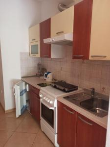 Kuchyňa alebo kuchynka v ubytovaní Apartments by the sea Podgora, Makarska - 2593