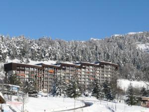 Résidence Les Aloubiers - TROIS PIECES PIED DES PISTES VILLARD DE LANS MAE-3904 v zime