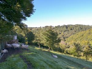 Naturlandskabet i nærheden af feriehuset