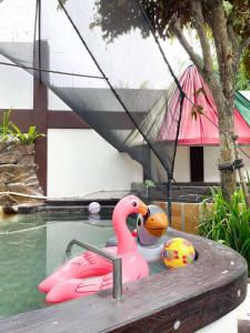 a pink toy duck in a swimming pool at G-Bay Farm Village in Malolos +70 photos