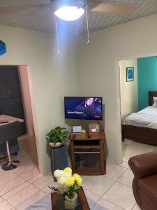 TV a/nebo společenská místnost v ubytování Hibiscus Bliss Getaway