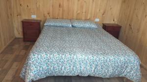 Postel nebo postele na pokoji v ubytování Cabaña con jacuzzi Olmué