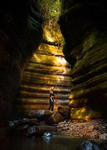 Příroda nedaleko chaty