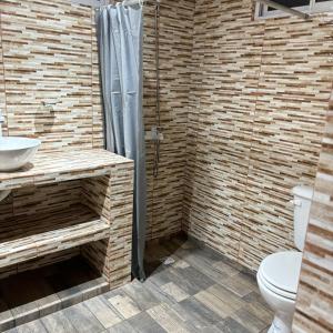 a bathroom with a shower with a toilet and a sink at La Casa de Bianca in El Soberbio