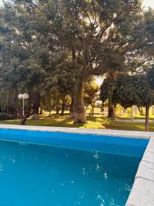 a blue swimming pool with trees in the background at Casa quinta soñada in Pocito