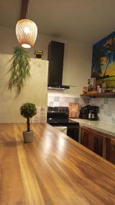 Kuchyň nebo kuchyňský kout v ubytování Casa Fly Paredon