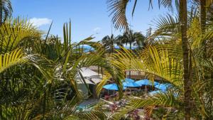 a resort with palm trees and a pool with blue umbrellas at Unit 42 - 2 Bedroom Garden View in Terrigal