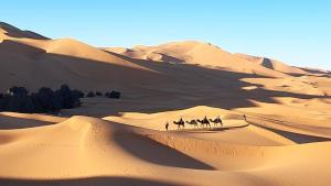 a group of people riding camels in the desert at Merzouga camelle trike bivoage in Merzouga