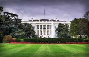 a white house with a lawn in front of it at WELL-EQUIPPED STUDIO APT - WALK TO METRO SUBWAY in Washington, D.C.