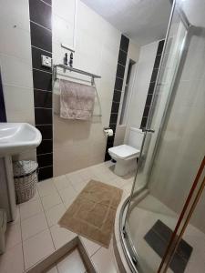 a bathroom with a shower and a toilet and a sink at Baobab 3 Apartment in Grand-Baie +16 photos