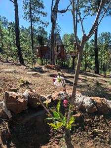 Zahrada ubytování Aldea Tipi Glamping