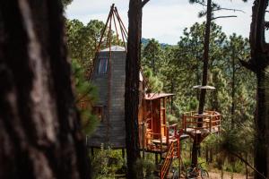 Zahrada ubytování Aldea Tipi Glamping