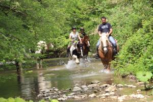 two people riding horses through a river at Chiusa della Vasca in Castelnuovo di Farfa