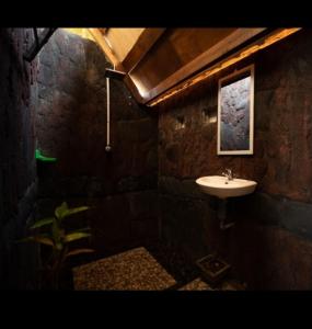 a stone bathroom with a sink and a plant at Citra Homestay in Tetebatu +145 photos