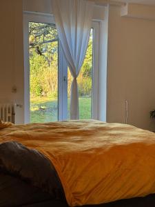 een bed in een kamer met een groot raam bij Apartment Schwarzwaldhöhen Pforzheim-Birkenfeld in Birkenfeld +24 foto's