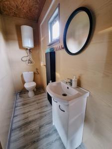 a bathroom with a sink and a mirror and a toilet at Cudnie tu - Wdzydze in Wdzydze Kiszewskie +76 photos