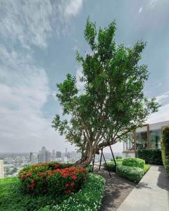 un árbol en un jardín con flores y un edificio en Luxury Ekkamai stay with Sky Infinity Pool, en Bangkok