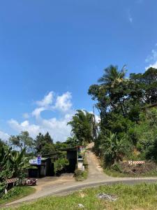 a dirt road with trees on the side of a road at Relax mountain guest house in Badulla