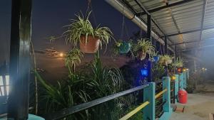 Φωτογραφία από το άλμπουμ του Goo Zimba Homestay σε Darjeeling
