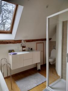 een badkamer met een wastafel en een toilet bij Irène in Senlis