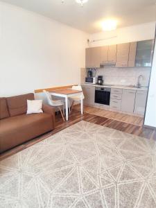 ein Wohnzimmer mit Sofa und Tisch in der Unterkunft Charming apartment in villa in Iaşi