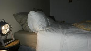 Postel nebo postele na pokoji v ubytování Mas de la Borie -Chambre d'hôtes