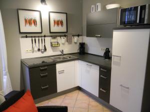eine kleine Küche mit Spüle und Kühlschrank in der Unterkunft Görlitz Apartment In der Bütt in Görlitz