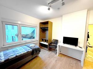 Μια τηλεόραση ή/και κέντρο ψυχαγωγίας στο VAZ Apartments Schürmann für Monteure, Küche, WLAN, Parkplatz, Autobahnnah