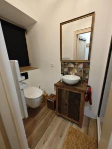a bathroom with a sink and a toilet and a mirror at Serre Chevalier 2 pièces au cœur du centre historique in Briançon