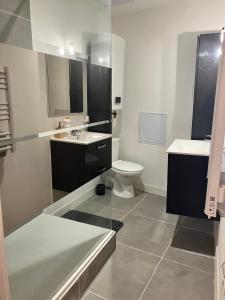 a bathroom with a toilet and a sink at Appartement rénové, proche gare in Bourg-de-Péage