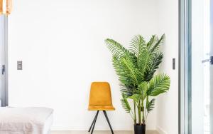 a yellow chair and a plant in a bedroom at Casa Mirapa in Torre-Pacheco +28 photos