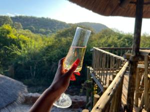 a person holding up a glass of wine at Kolobeng Cottages in Gaborone