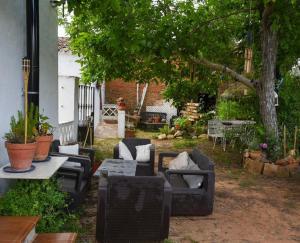 a patio with couches and tables and a tree at Hospedería de La Corte in Corteconcepción