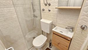a bathroom with a shower and a toilet and a sink at Cicki Apartments I - Renovated 2025 in Podgorica