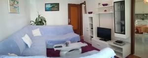 TV a/nebo společenská místnost v ubytování Apartment Mirjana