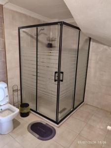 a shower stall in a bathroom with a toilet at AyVilla 1 garden floor with garden use, sea view in Ayvalık