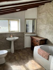 a bathroom with a tub and a sink and a toilet at Bayvil - Nevern in Velindre-farchog